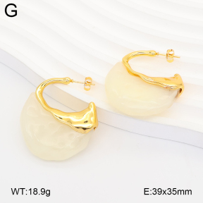 2E4005350vbnl-434  Stainless Steel Earrings
