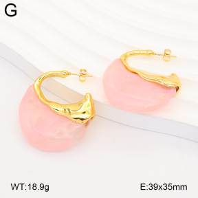 2E4005351vbnl-434  Stainless Steel Earrings