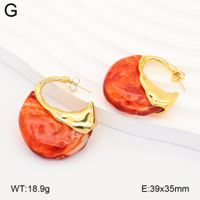 2E4005352vbnl-434  Stainless Steel Earrings