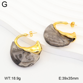 2E4005353vbnl-434  Stainless Steel Earrings
