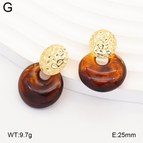 2E4005354vbll-434  Stainless Steel Earrings