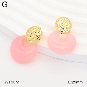 2E4005355vbll-434  Stainless Steel Earrings