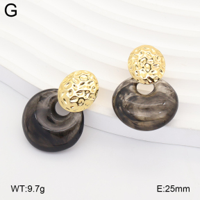 2E4005356vbll-434  Stainless Steel Earrings