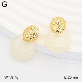 2E4005357vbll-434  Stainless Steel Earrings