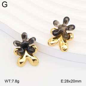 2E4005358ablb-434  Stainless Steel Earrings