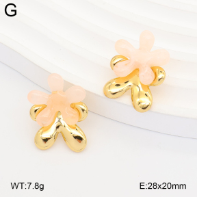 2E4005359ablb-434  Stainless Steel Earrings