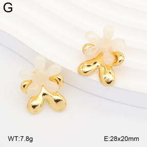 2E4005360ablb-434  Stainless Steel Earrings