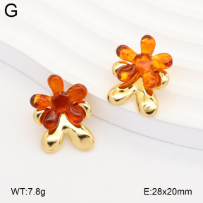 2E4005361ablb-434  Stainless Steel Earrings