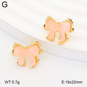2E4005362ablb-434  Stainless Steel Earrings