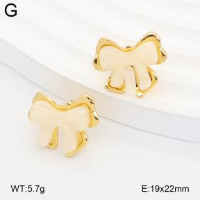 2E4005363ablb-434  Stainless Steel Earrings