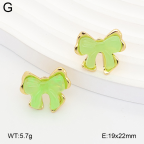 2E4005364ablb-434  Stainless Steel Earrings
