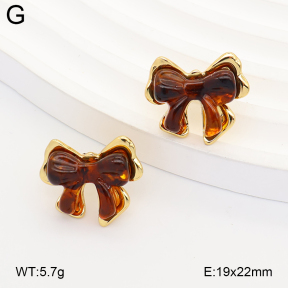 2E4005365ablb-434  Stainless Steel Earrings