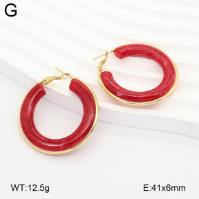 2E4005366vbmb-434  Stainless Steel Earrings