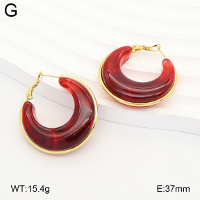 2E4005367vbmb-434  Stainless Steel Earrings