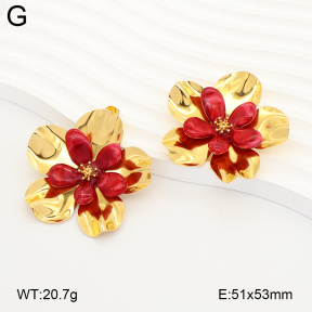 2E4005368vhhl-434  Stainless Steel Earrings