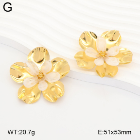 2E4005369vhhl-434  Stainless Steel Earrings