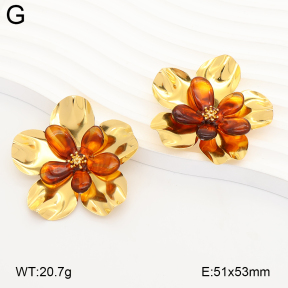 2E4005370vhhl-434  Stainless Steel Earrings