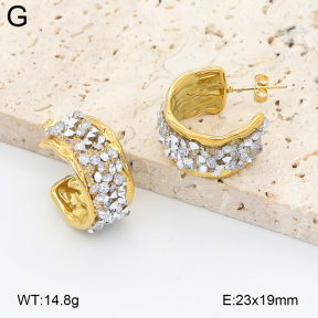 2E4005371vbpb-434  Stainless Steel Earrings