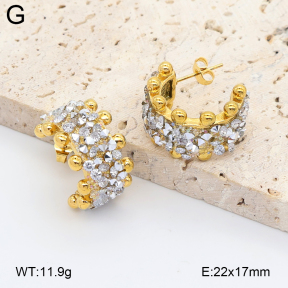 2E4005372vbpb-434  Stainless Steel Earrings