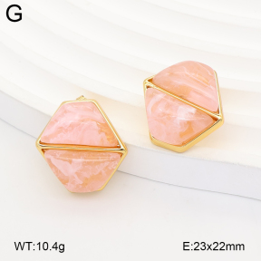 2E4005373vbnb-434  Stainless Steel Earrings