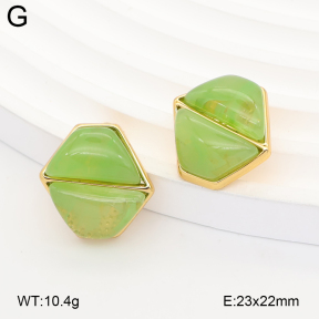 2E4005374vbnb-434  Stainless Steel Earrings