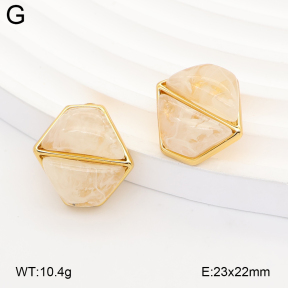 2E4005375vbnb-434  Stainless Steel Earrings