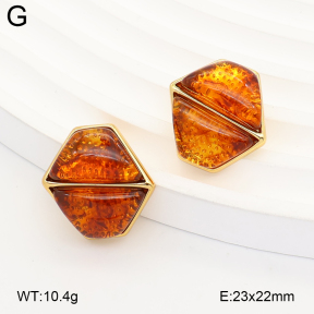 2E4005376vbnb-434  Stainless Steel Earrings