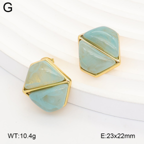 2E4005377vbnb-434  Stainless Steel Earrings