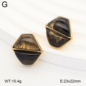 2E4005378vbnb-434  Stainless Steel Earrings