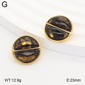 2E4005379vbnb-434  Stainless Steel Earrings
