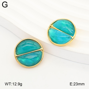 2E4005380vbnb-434  Stainless Steel Earrings