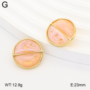 2E4005381vbnb-434  Stainless Steel Earrings
