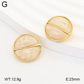 2E4005382vbnb-434  Stainless Steel Earrings