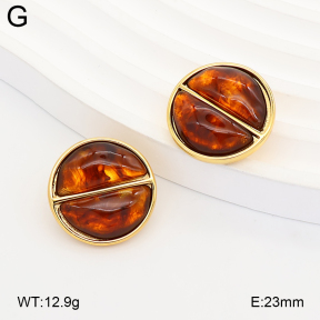 2E4005383vbnb-434  Stainless Steel Earrings