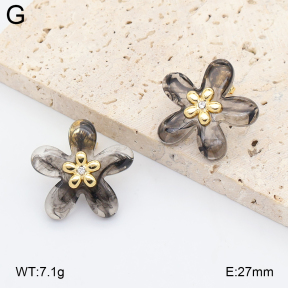 2E4005384vbll-434  Stainless Steel Earrings