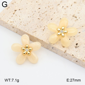 2E4005385vbll-434  Stainless Steel Earrings