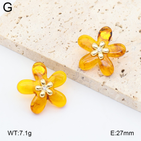 2E4005386vbll-434  Stainless Steel Earrings