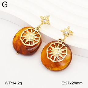 2E4005387vbmb-434  Stainless Steel Earrings