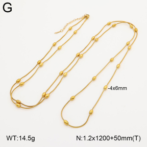 2N2009218bvpl-367  Stainless Steel Necklace