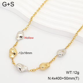 2N2009229bvpl-434  Stainless Steel Necklace