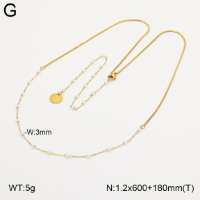 2N3003485abol-367  Stainless Steel Necklace