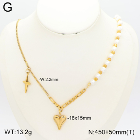 2N3003508vbnl-434  Stainless Steel Necklace