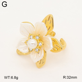 2R3000450vbnb-434  Stainless Steel Ring