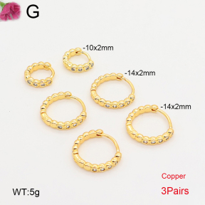 F2E402306vhhl-J202  Fashion Copper Earrings