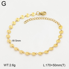 2B2006018aajl-368  Stainless Steel Bracelet
