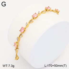 2B4005996ahlv-749  Stainless Steel Bracelet