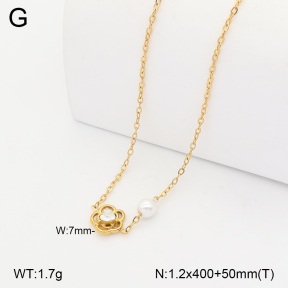 2N3003512vbmb-749  Stainless Steel Necklace