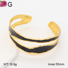 F2BA30182vbmb-J158  Fashion Bangle
