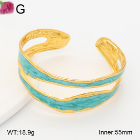 F2BA30183vbmb-J158  Fashion Bangle