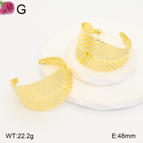 F2E202259bblo-J165  Fashion Earrings